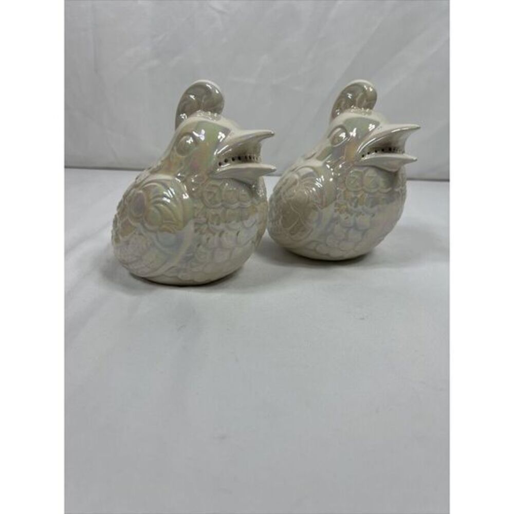 Ceramic Large Shaker Set Glaze Birds Kitchen Cleanser Shaker 5" Pearl Color